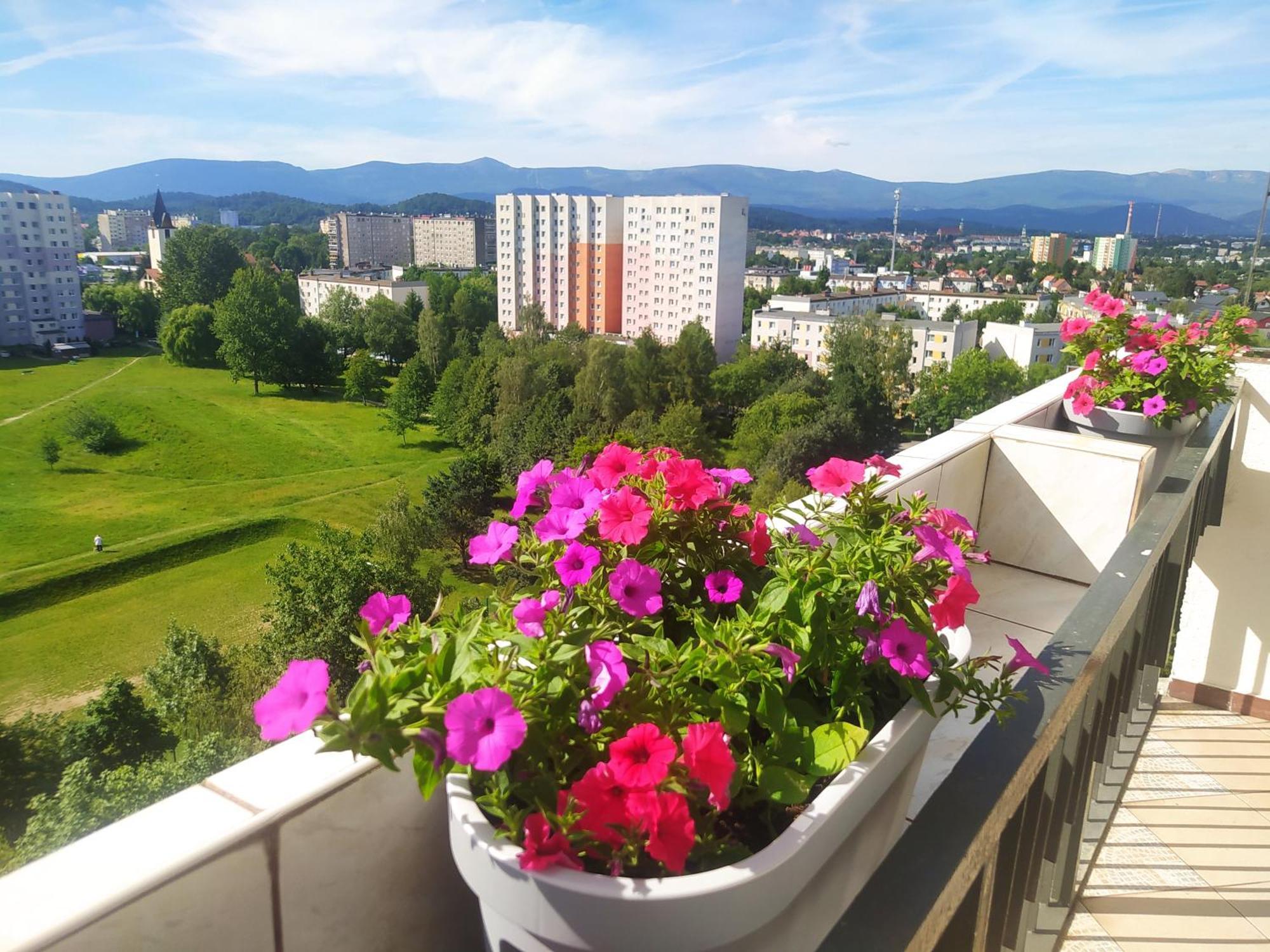 Apartament Z Widokiem Na Sniezke Jelenia Góra Exterior foto